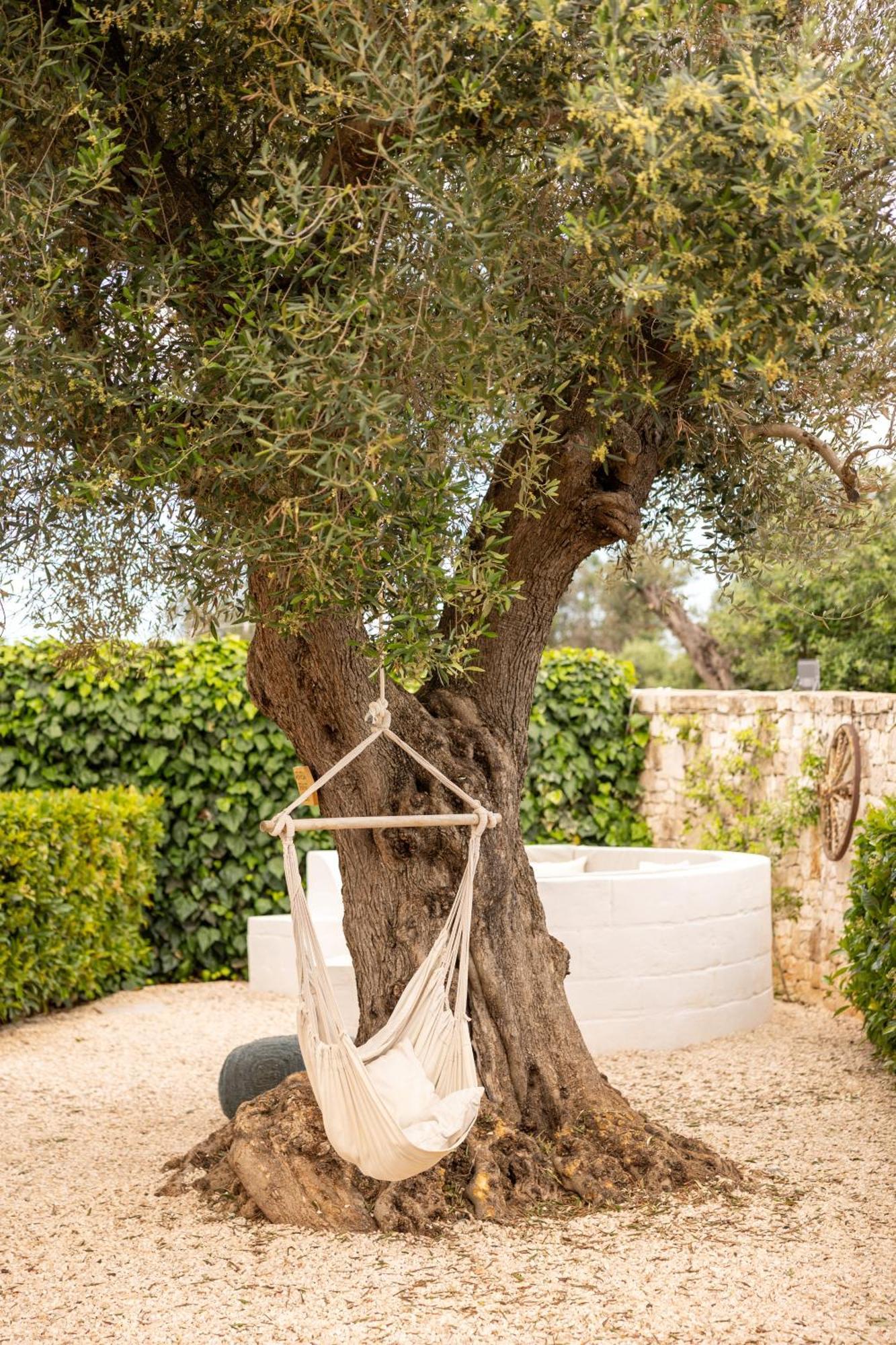 B&B Villa Mamma Grazia San Vito dei Normanni Eksteriør billede